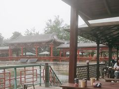 -尚庄度假村·庭台树下·户外烧烤·团建CS·轰趴营地(上庄水库店)