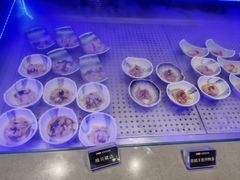 -daozao料理美术馆(东营店)