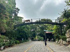 -深圳野生动物园