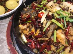 -老板恋上鱼(恒隆广场店)