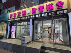 -青奢宠物·青奢猫舍