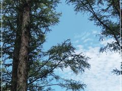 -白草畔自然风景区