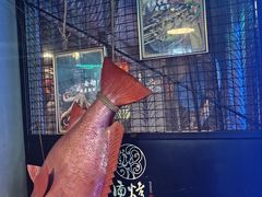 -质烤烤物·活烤海鲜(质烤总店)