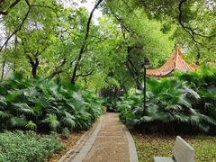 -晓港公园