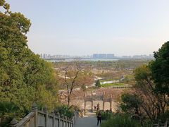 -苏州上方山国家森林公园