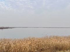 -白洋淀风景区