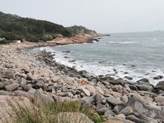 -广东惠东海龟国家级自然保护区