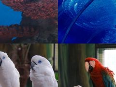 -海合安武汉极地海洋公园
