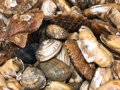 -四海蒸鲜蒸汽海鲜自助(北戴河店)