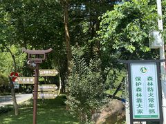 -广州白江湖森林公园