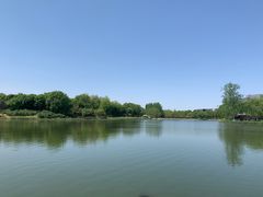 -大兴滨河森林公园