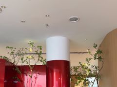 -老板恋上鱼(恒隆广场店)