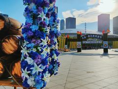 -东港音乐喷泉广场