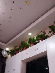 -香薇妮丝·定制减肥·身材管理