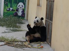 -西安秦岭野生动物园