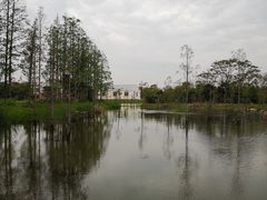 -上海长兴岛郊野公园