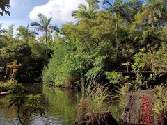 -海口火山口国家地质公园