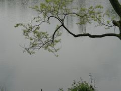 -茅家埠