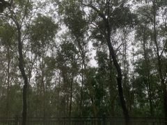 -熹乐谷温泉度假区