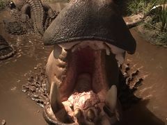 -贝林大翅鲸简餐厅(国家海洋博物馆店)