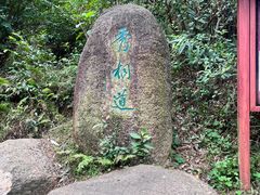 -梧桐山风景名胜区