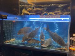 -衢农会·衢州菜·宴请(国际机场店)