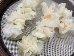 招牌鲜肉烧麦-晓友烧麦(光华村店)