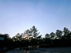 -同济大学(嘉定校区)