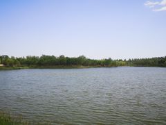 -东郊湿地公园
