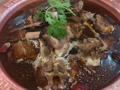 -城一锅涮烤羊蝎子·烤串