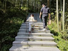 -东明山森林公园