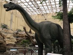 -国家自然博物馆