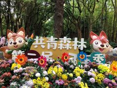 -上海共青森林公园
