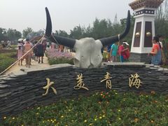 -武清南湖绿博园