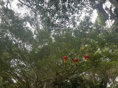 -海南热带野生动植物园