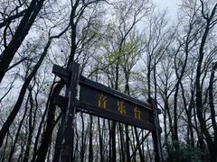 -音乐台