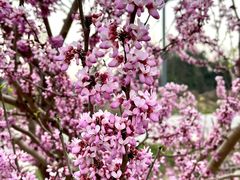 -桤木河湿地公园