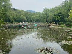 -棒棰岛宾馆景区