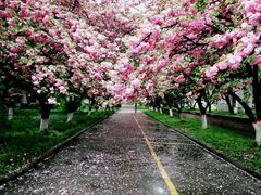 -西安理工大学(金花校区)