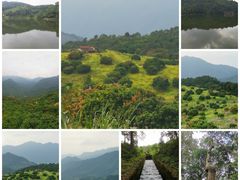 -广州市石门国家森林公园