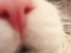 -惟初心理咨询工作室(静安分店)