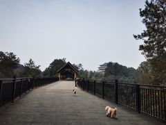 -保利石象湖景区