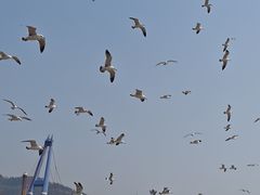 -星海广场