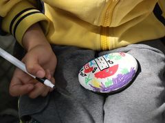 -北京市海淀区锦绣明天莲宝幼儿园