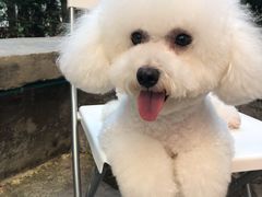 -馥家小馆(黔灵山公园店)