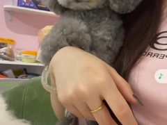 -小呆的宠物店·宠物售卖·宠物寄养(城西店)