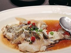 -玖味(老工人西路店)