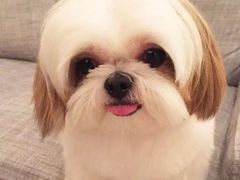 -忆品青莲素食文化主题餐厅(文华名城店)