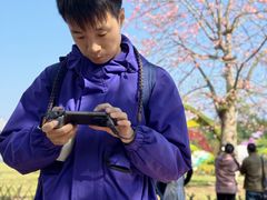 -海珠湖公园