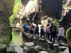 -牛背梁国家森林公园
